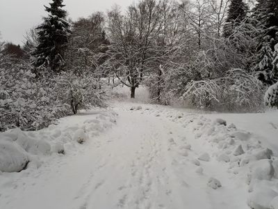 Spaziergang im Schnee