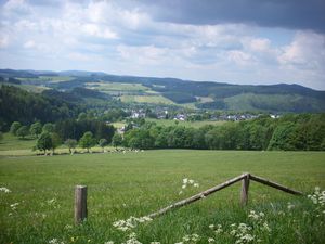 23141147-Ferienwohnung-2-Winterberg-300x225-3