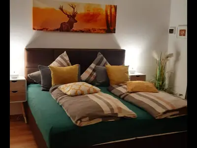 Ferienwohnung für 4 Personen (65 m²) in Winterberg 10/10