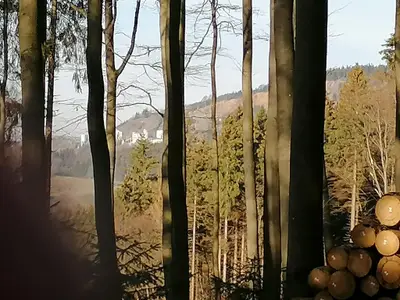 Ferienwohnung für 3 Personen (55 m²) in Winterberg 9/10