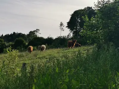 Aussicht Hoheleye