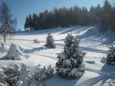 Winter - Rodelhang direkt am Haus