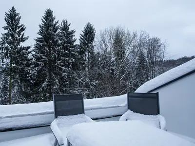 Ferienwohnung für 4 Personen (42 m²) in Winterberg 8/10