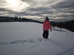 22208443-Ferienwohnung-3-Winterberg-300x225-5