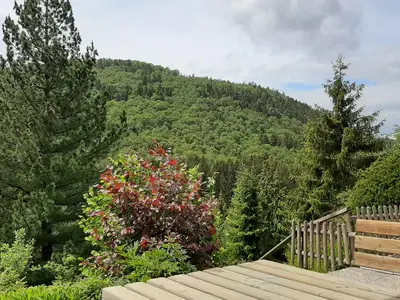 Ferienwohnung für 4 Personen (60 m²) in Winterberg 2/10