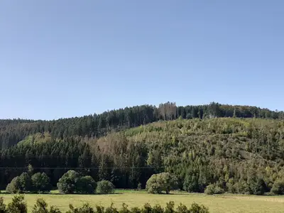 Ferienwohnung für 5 Personen (60 m²) in Winterberg 5/10