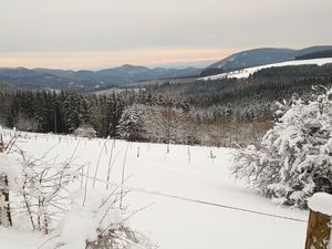 23195755-Ferienwohnung-4-Winterberg-300x225-1