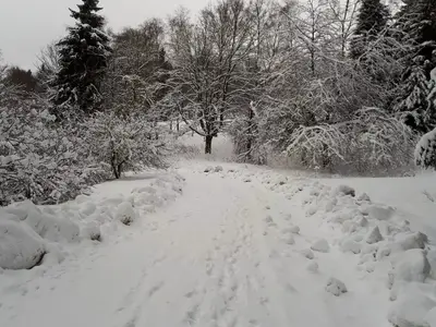 Spaziergang im Schnee