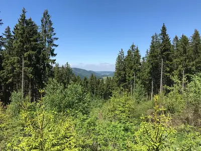 Umgebung