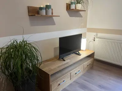 Wohnbereich / Fernseher