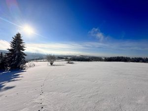 23894059-Ferienwohnung-6-Winterberg-300x225-5