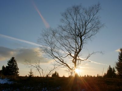 Landschaft