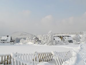 Ferienwohnung für 4 Personen (75 m²) in Winterberg