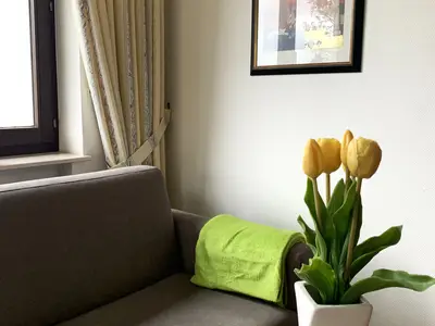 Ferienwohnung für 4 Personen (54 m²) in Winterberg 5/10
