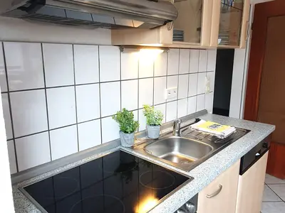 Ferienwohnung für 4 Personen (55 m²) in Winterberg 2/10