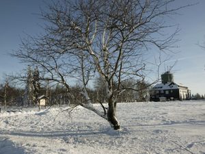 Ferienwohnung für 4 Personen in Winterberg