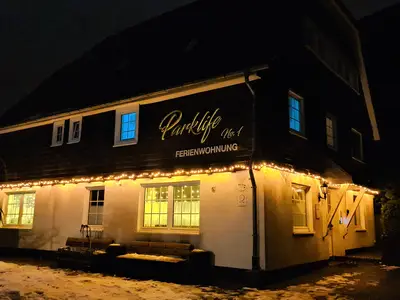 Parklife mit Weihnachtsbeleuchtung