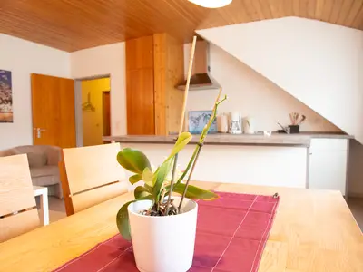Ferienwohnung für 6 Personen (54 m²) in Winterberg 3/10