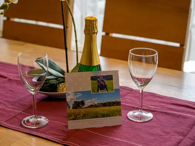 Ferienwohnung für 6 Personen (54 m²) in Winterberg 10/10