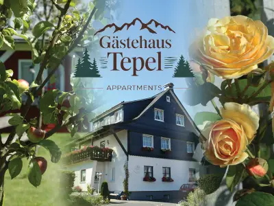 Ferienwohnung für 4 Personen (80 m²) in Winterberg 2/10