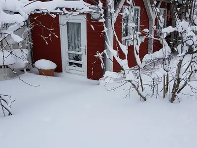 Winterbild