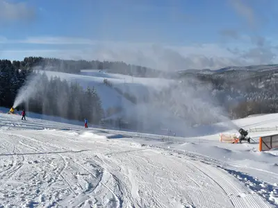 Ferienwohnung für 4 Personen (50 m²) in Winterberg 7/10
