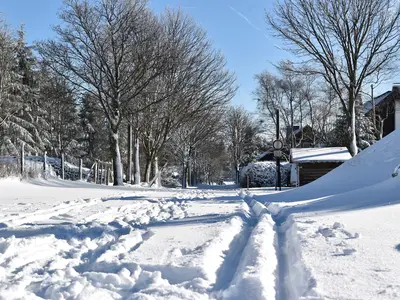 Ferienwohnung für 4 Personen (50 m²) in Winterberg 8/10