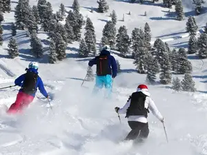 Ferienwohnung für 4 Personen in Winterberg