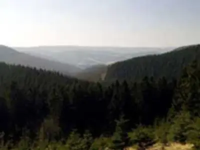 Ferienwohnung für 4 Personen (78 m²) in Winterberg 5/10