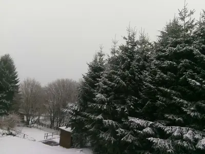 Ferienwohnung für 12 Personen (200 m²) in Winterberg 1/10