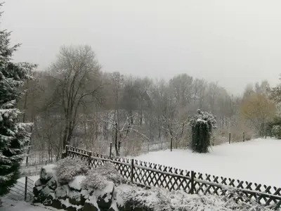 Ferienwohnung für 12 Personen (200 m²) in Winterberg 3/10