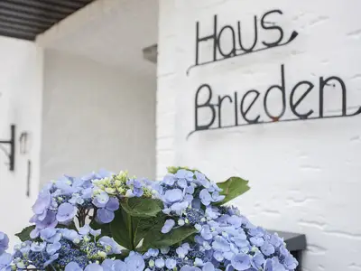Ferienwohnung für 2 Personen (50 m²) in Winterberg 4/10