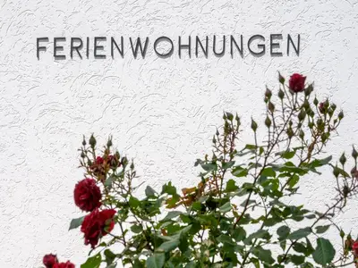 Ferienwohnung für 5 Personen (54 m²) in Winterberg 6/10