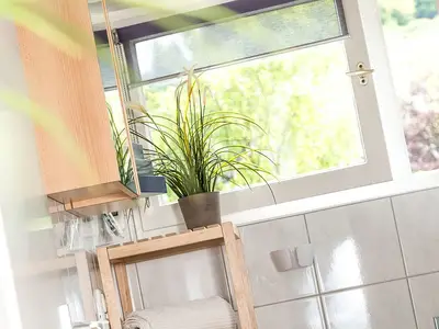 Ferienwohnung für 5 Personen (65 m²) in Winterberg 9/10