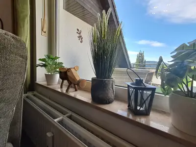 Ferienwohnung für 2 Personen (54 m²) in Winterberg 9/10