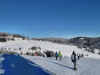 AreaWinter1KM