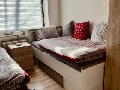 Ferienwohnung für 4 Personen (61 m²) in Winterberg 9/10