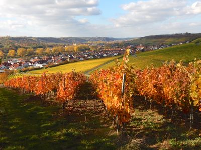 Weinberge: im Vordergrund Sommerhausen, im Hintergrund Winterhausen