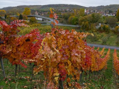 Brücke bei Winterhausen - A3 5 km, Würzburg 12 km, Main-Radweg führt am Haus vorbei