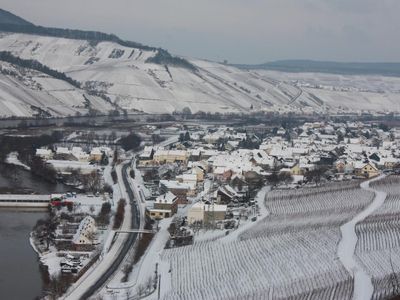 Wintrich im Schnee