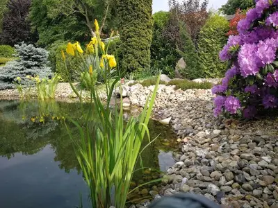 Ferienwohnung für 6 Personen (150 m²) in Wischhafen 1/10