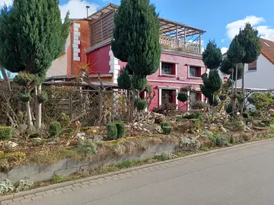 ExteriorSummer