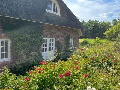 Ferienwohnung für 6 Personen (75 m²) in Wismar 7/10