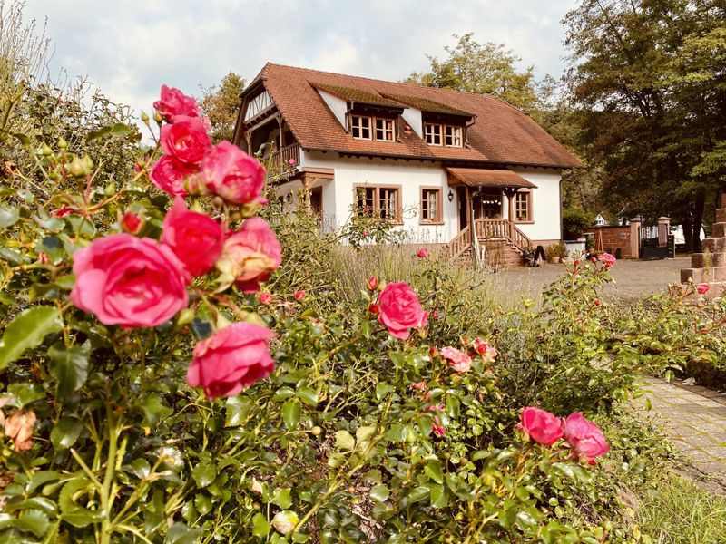 19379981-Ferienwohnung-4-Wissembourg-800x600-1