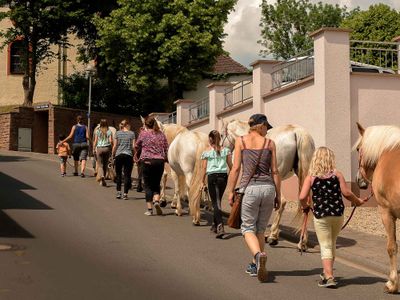 Auf gehts zum Geführten Reiten