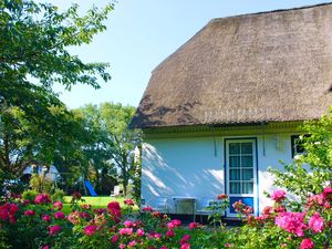 Ferienwohnung für 3 Personen (53 m²) in Witsum