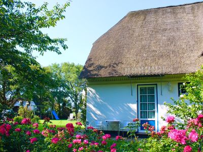 Ferienwohnung für 3 Personen (53 m²) in Witsum 1/10