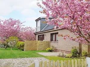 Ferienwohnung für 3 Personen (38 m²) in Wittdün