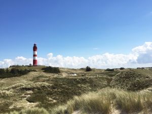 Amrumer Leuchtturm in den Inseldünen