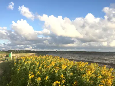 Wanderweg am Wattenmeer auf Amrum